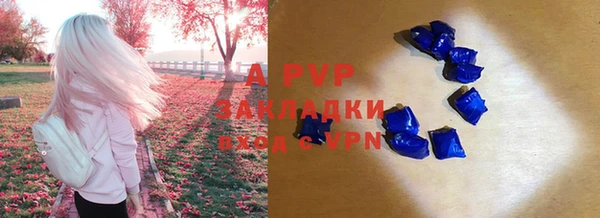 индика Сатка